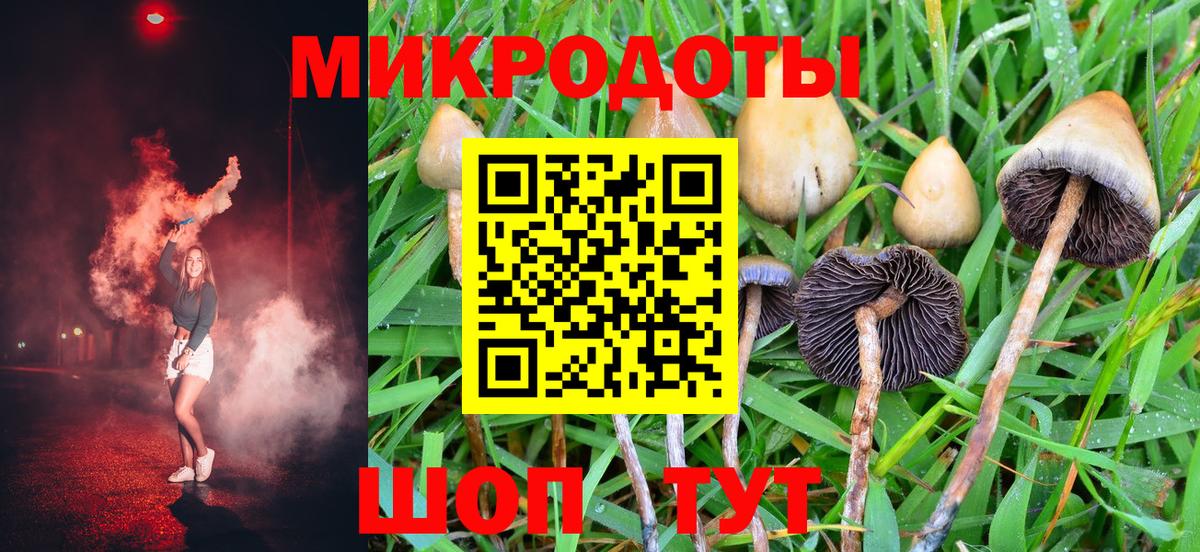 купить  цена  Галлюциногенные грибы Magic Shrooms  Вход с VPN  Бутурлиновка 
